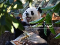 -广州动物园