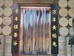 -千年银杏谷文化旅游区