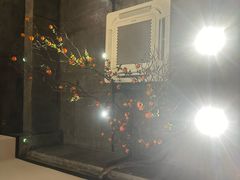 -寻味六朝(中山陵理工大学店)