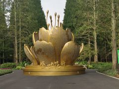 -东平国家森林公园