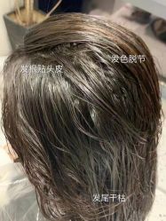 -IP SALON