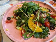 -百好乐宠物友好餐厅(朝外大街店)