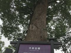 -韩湘水博园