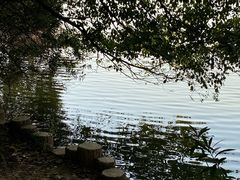 -东湖落雁景区