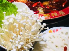 -蜀辣居鲜货老火锅(万象城店)