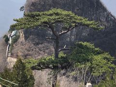 -圣莲山风景区