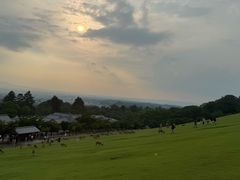 -奈良公园