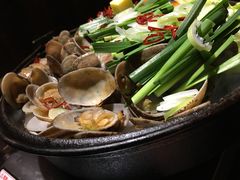 -春草居酒屋·晴子の店
