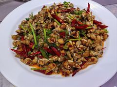 -小海丁