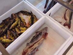 -江湖水乡铁锅炖魚(周庄嘉园店)