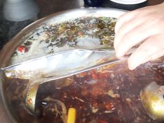 -花鲢鱼头火锅(春城东路店)