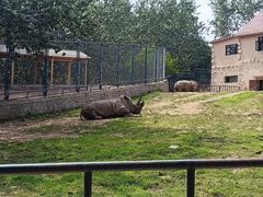 -大连森林动物园