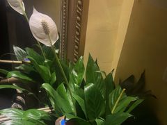 -足本纪·足道 SPA 简餐 小吃(文三西路店)
