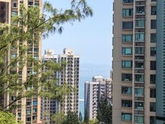 -香港大学