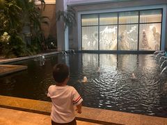 -Waterfall瀑布湾优健源(华侨城店)