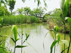 -梁鸿国家湿地公园