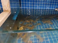 -威海渔村(黄兴路店)