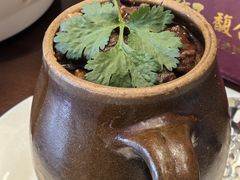 -巢湖名吃·东关老鹅汤(江南风情街店)