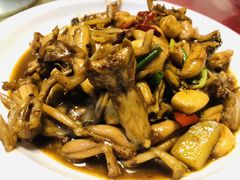 -金锅小厨(乐活街店)