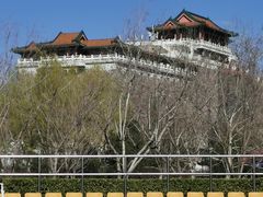 -莲花池公园