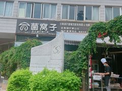 -菌窝子野生菌火锅(学府路店)