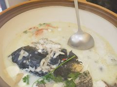 -全乐鱼馆·淳牌有机鱼直营店