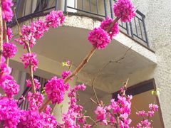 -金牛山大酒店(南北湖风景区店)