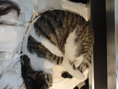 -铜瓢江湖兔火锅(水碾河社区店)