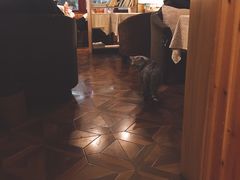 大堂-隅cafe(傅厚岗店)