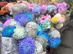 -循礼门鲜花花市(武汉循礼门店)