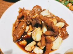 -鸽子窝(青塔店)