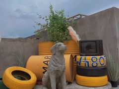 -Swing泛娱乐融合空间(龙华店)