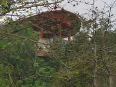-大雁山风景区