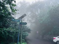 -紫金山山顶公园