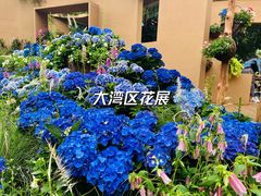 -深圳仙湖植物园