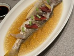 黄鱼-新荣记(新源南路店)