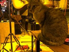 -在路上酒吧(大理古城店)