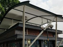 -珠江夜游省总码头