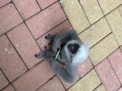 -广州长隆野生动物世界