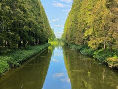 -黄海国家森林公园