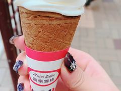 -富豪雪糕车流动点(尖沙咀店)