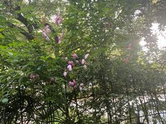 -谷咖啡·鲜花绿植花园餐厅