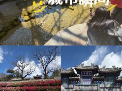-红螺寺
