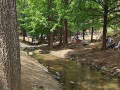 -白水寺森林公园