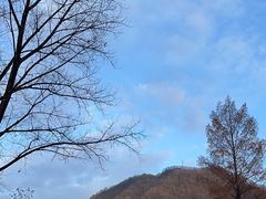 -光雾山旅游景区