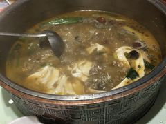 -大河宴·椒麻鱼火锅(克拉玛依西路头宫店)
