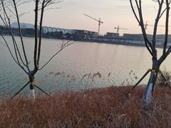 -羊山湖公园