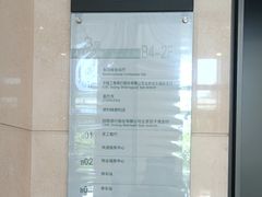 -世东国际