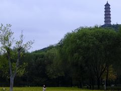 -北坞公园