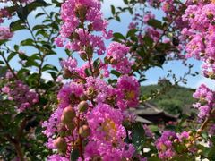 -威海华夏城景区